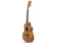 Tanglewood TWT 12E Tanglewood TWT 12E